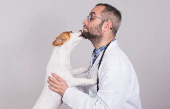 20 Proven Health Benefits of Having a Dog 20 Proven Health Benefits of Having a Dog