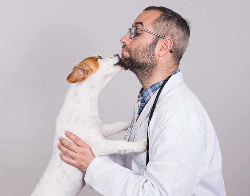 20 Proven Health Benefits of Having a Dog 20 Proven Health Benefits of Having a Dog