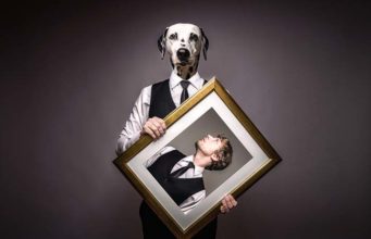 8 Ways How Dogs Are Similar to People (Based on Brain Scans) 8 Ways How Dogs Are Similar to People (Based on Brain Scans)