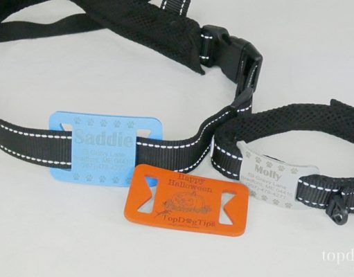 Review: Dog Collar Tags Silent Pet ID Tags Dog Collar Tags Review