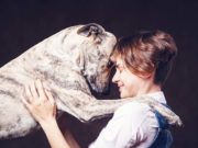 Dogs Love You More When You Smile, Science Says Dogs Love You More When You Smile, Science Says