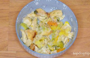 Recipe: Oatmeal Dog Food Meal with Chicken and Vegetables Essential Tips for Making Homemade Dog Food