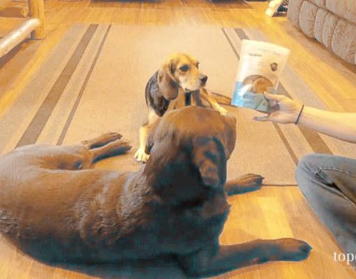 Review: Honest Paws Calming CBD Dog Treats Honest Paws Calming CBD Dog Treats