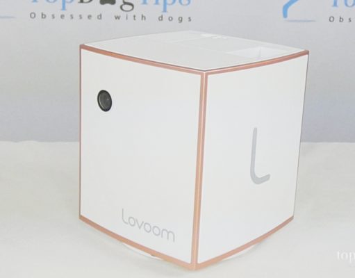 Review: Lovoom Pet Camera Lovoom Pet Camera
