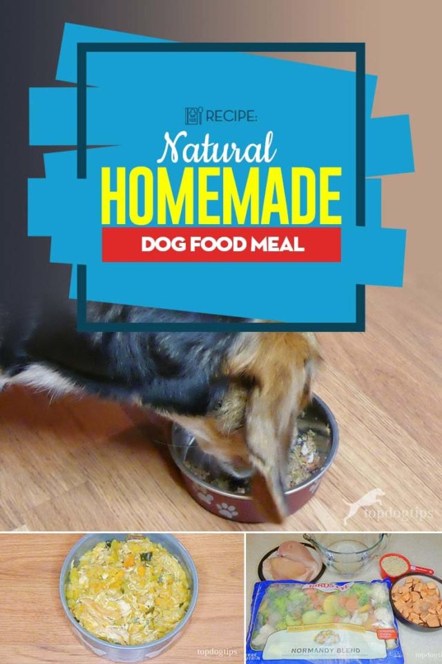 Natural Homemade Dog Food Recipe (With High Quality Ingredients)