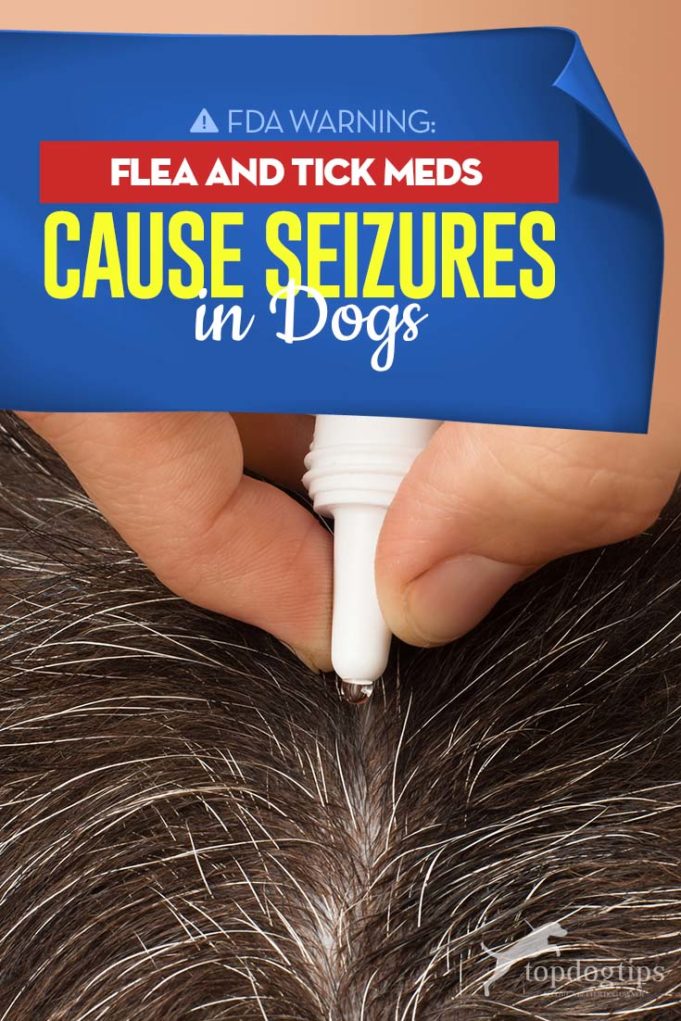 FDA Warns Flea and Tick Meds Can Cause Seizures in Dogs Top Dog Tips