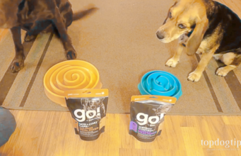 Review: Petcurean Go! Meal Mixers Petcurean Go! Meal Mixers