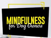 Mindfulness for Dog Owners The Guide to Mindfulness for Dog Owners