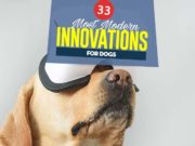 33 Modern Innovations for Dogs That We Love Top 33 Modern Innovations for Dogs That We Love featured image