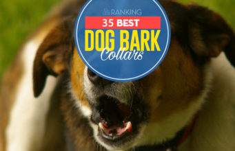 Top 35 Best Dog Bark Collars Top 35 Best Dog Bark Collar Options in 2019