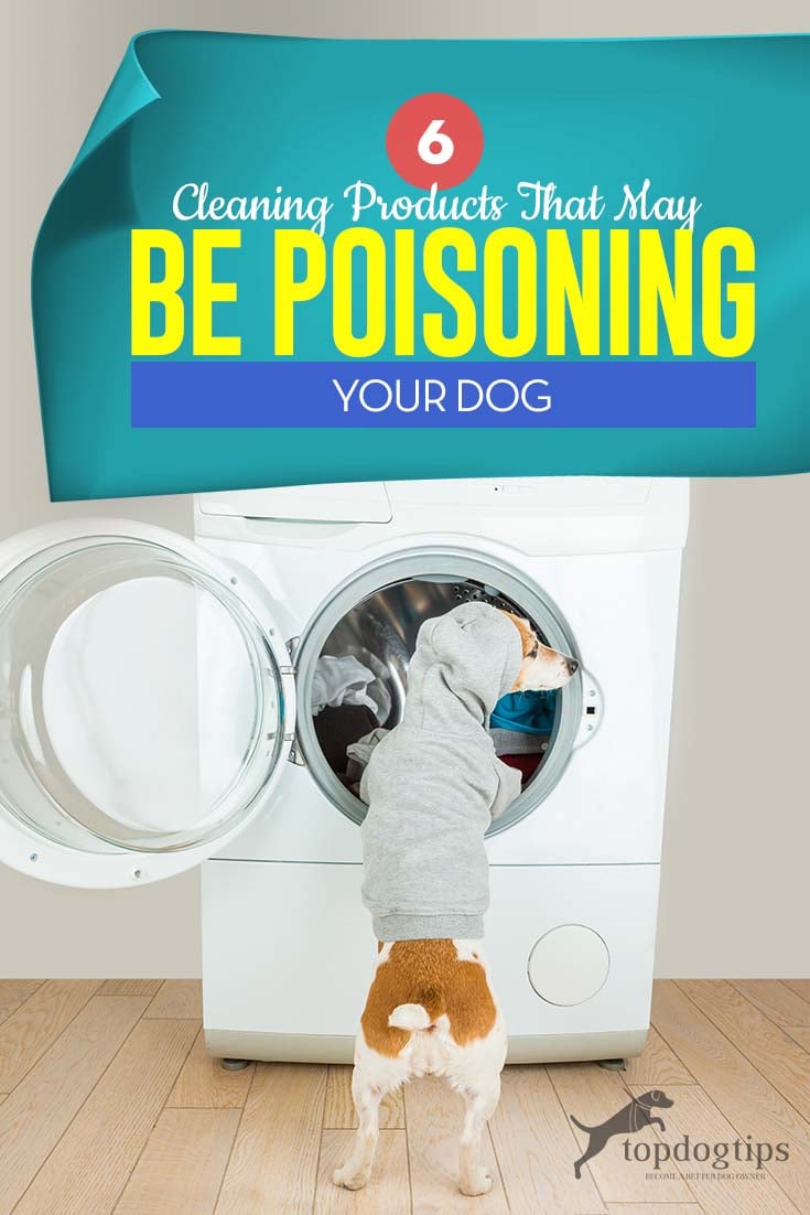 https://topdogtips.com/wp-content/uploads/2018/12/Top-6-Cleaning-Products-That-May-Be-Poisoning-Your-Dog.jpg