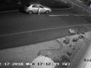 Video Footage Shows Owner Abandoning a Dog by Roadside Video Footage Shows Owner Abandoning a Dog by Roadside