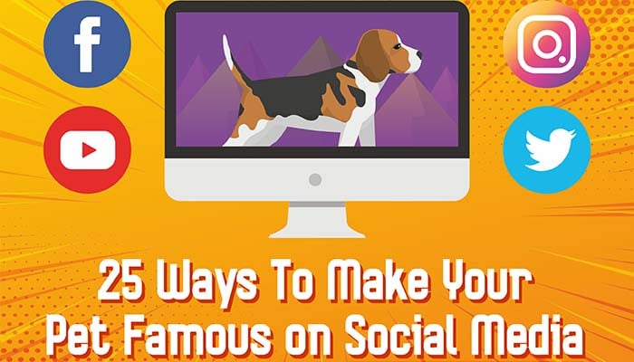 25 Ways to Make Your Pet Famous on Social Media [Infographic]