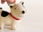 The Best Savings Accounts for Pet Owners 4 Best Savings Accounts for Pet Owners