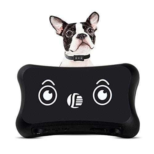 DAGPS Pet GPS Tracker