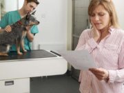 5 Emergency Vet Care Financing Options 5 Emergency Vet Care Financing Options