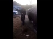 Caught on Video: Deputy Shoots a Small Dog That Posed No Threat Caught on Video - Deputy Shoots a Small Dog That Posed No Threat