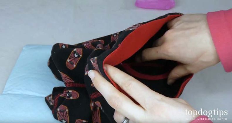 How to Make a Dog Diaper - 3 Different DIY Methods (Simple and Cheap)