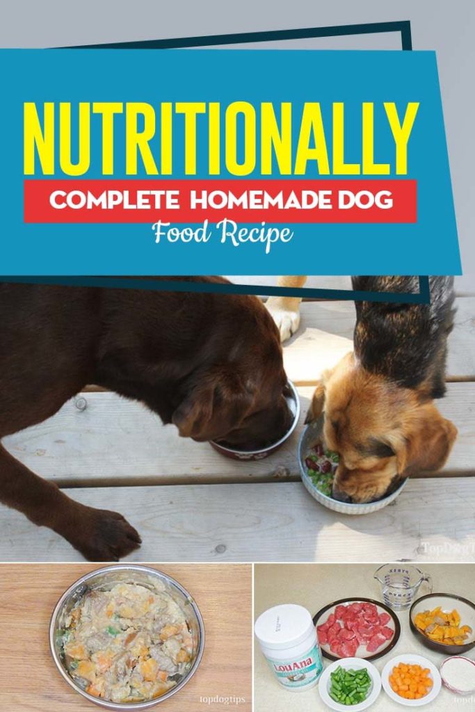 Recipe Nutritionally Complete Homemade Dog Food Meal recipe-nutritionally-complete-homemade-dog-food-meal