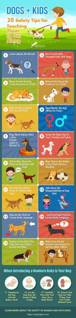 Dogs and Kids Safety Tips