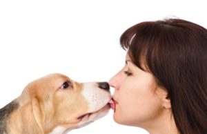 Can Dogs Get Sick From Humans? Can dogs get sick from humans featured image