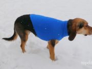 How to Make a Dog Sweater How To Make A Dog Sweater
