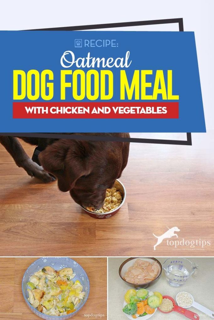 Homemade Oatmeal Dog Food Recipe with Chicken and Vegetables