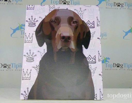 Review: Personalize My Pup Pet Portrait Canvas Wrap Personalize My Pup Pet Portrait Canvas Wrap