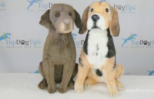 Review: Petsies Custom Stuffed Animals Petsies Custom Stuffed Animal Giveaway