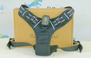 Giveaway: Rabbitgoo Light-Up Dog Harness ($25+ Value) Rabbitgoo LED Light Up Dog Harness