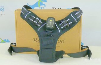 Review: Rabbitgoo LED Dog Harness Rabbitgoo LED Light Up Dog Harness