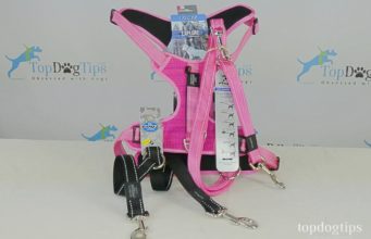 Review: Rogz Dog Harness and Leash Rogz Dog Harness and Leash Review
