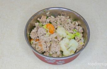 Recipe: Homemade Dog Food for Skin Allergies homemade dog food recipe skin allergies