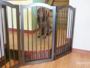 Review: Unipaws Freestanding Pet Gate unipaws Freestanding Pet Gate
