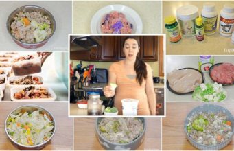 12 Most Common Questions I’m Asked About Homemade Dog Food 12 Most Common Questions I'm Asked About Homemade Dog Food