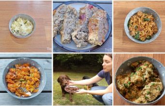 15 of My Personal Favorite Dog Food Recipes 15 of My Personal Favorite Dog Food Recipes