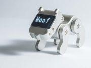 9 Pet Industry Trends to Watch in 2022 9 Pet Industry Trends to Watch in 2019