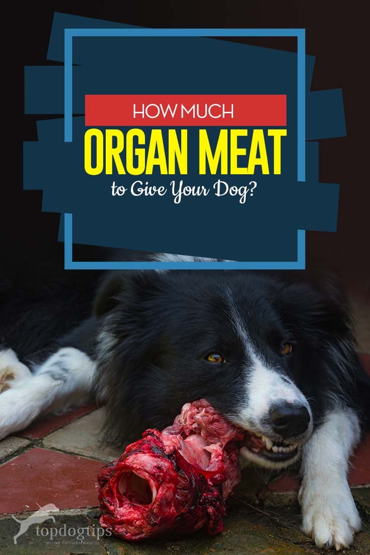 Organ meat clearance for dogs