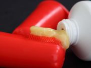 Top 10 Best Dog Toothpastes Best Dog Toothpaste Rankings