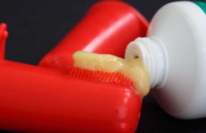 Top 10 Best Dog Toothpastes Best Dog Toothpaste Rankings