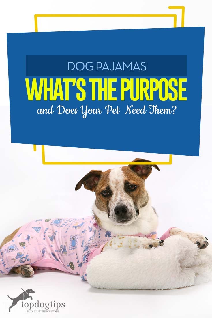 Dog Pajamas Guide - What’s the Purpose and Does Your Pet Need Them