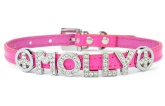 Giveaway: Doggie Diva Bling Dog Collar ($65+ Value) Doggie Diva Collar Giveaway