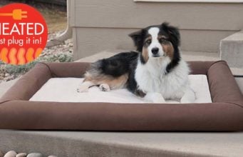 Heated Dog Blankets and Beds: Are They Useful and Safe for Our Pets? Heated Dog Blankets and Beds - Are They Useful and Safe for Our Pets
