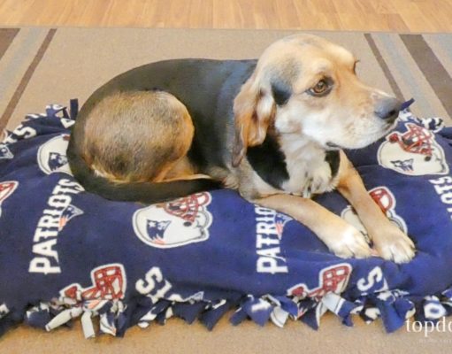 How to Make a Dog Bed Without Sewing How To Make A Dog Bed