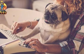 TOP #80: How to Get Your Pets Book Published How to Get Your Pets Book Published