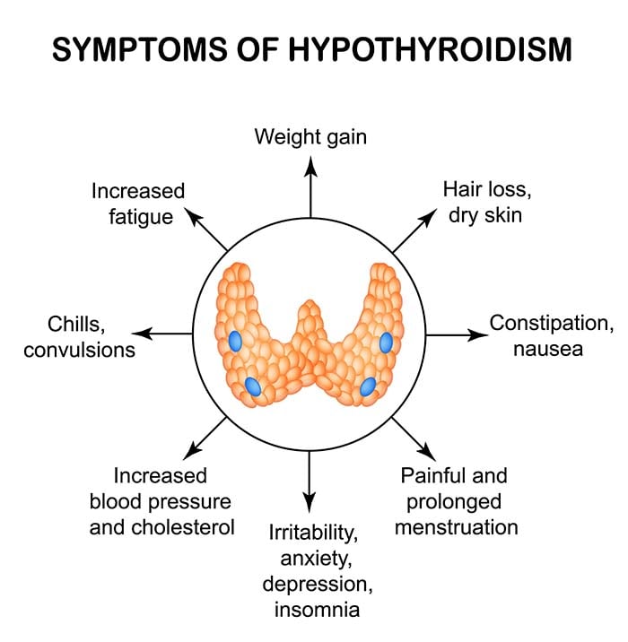 can hypothyroidism cause anxiety in dogs