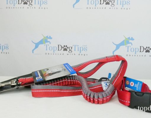 Giveaway: RC Pet Products Dog Walking Supplies ($48+ Value) RC Pet Products Dog Walking Supplies