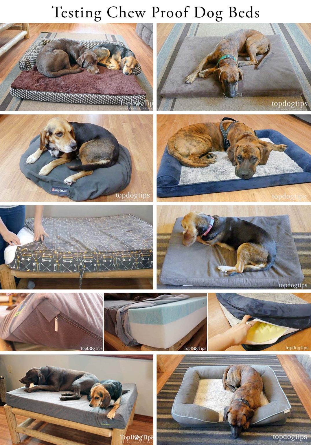 6 Most ChewProof Dog Beds (Reviewed and Tested!)