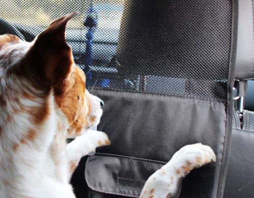 5 Best Dog Car Barriers for Safe Travel The Best Dog Car Barrier