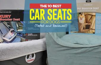 The Best Dog Car Seat Review (Updated 2023) The Best Dog Car Seat Review
